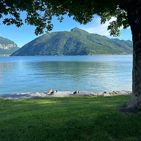Casa Felice Con Terrazzo A Due Passi Dal
